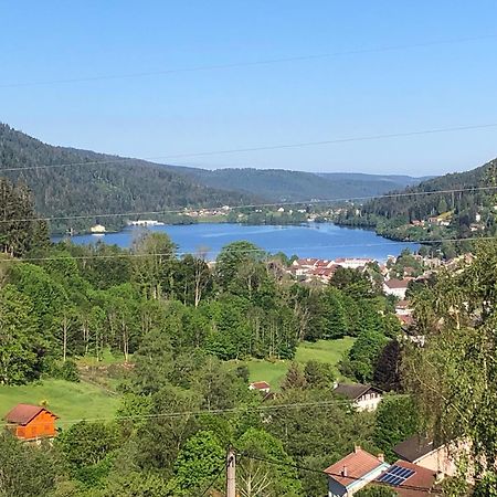 F3 Superbe Vue Lac, Grand Balcon, Ambiance Nature Gérardmer Buitenkant foto