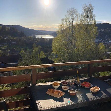 F3 Superbe Vue Lac, Grand Balcon, Ambiance Nature Gérardmer Buitenkant foto