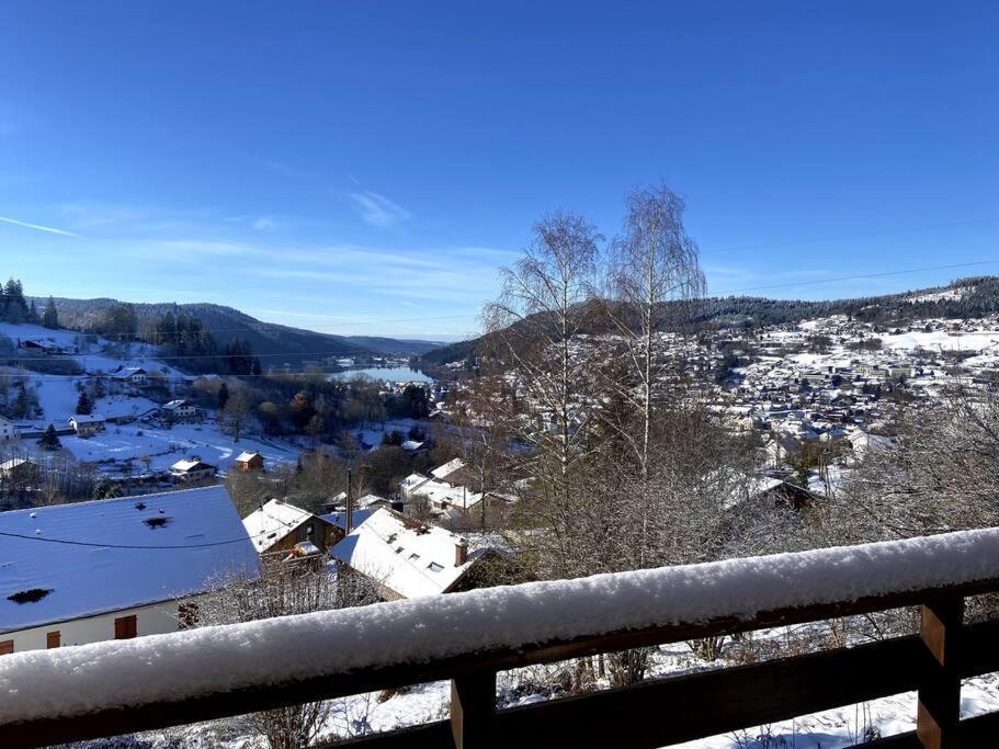 F3 Superbe Vue Lac, Grand Balcon, Ambiance Nature Gérardmer Buitenkant foto