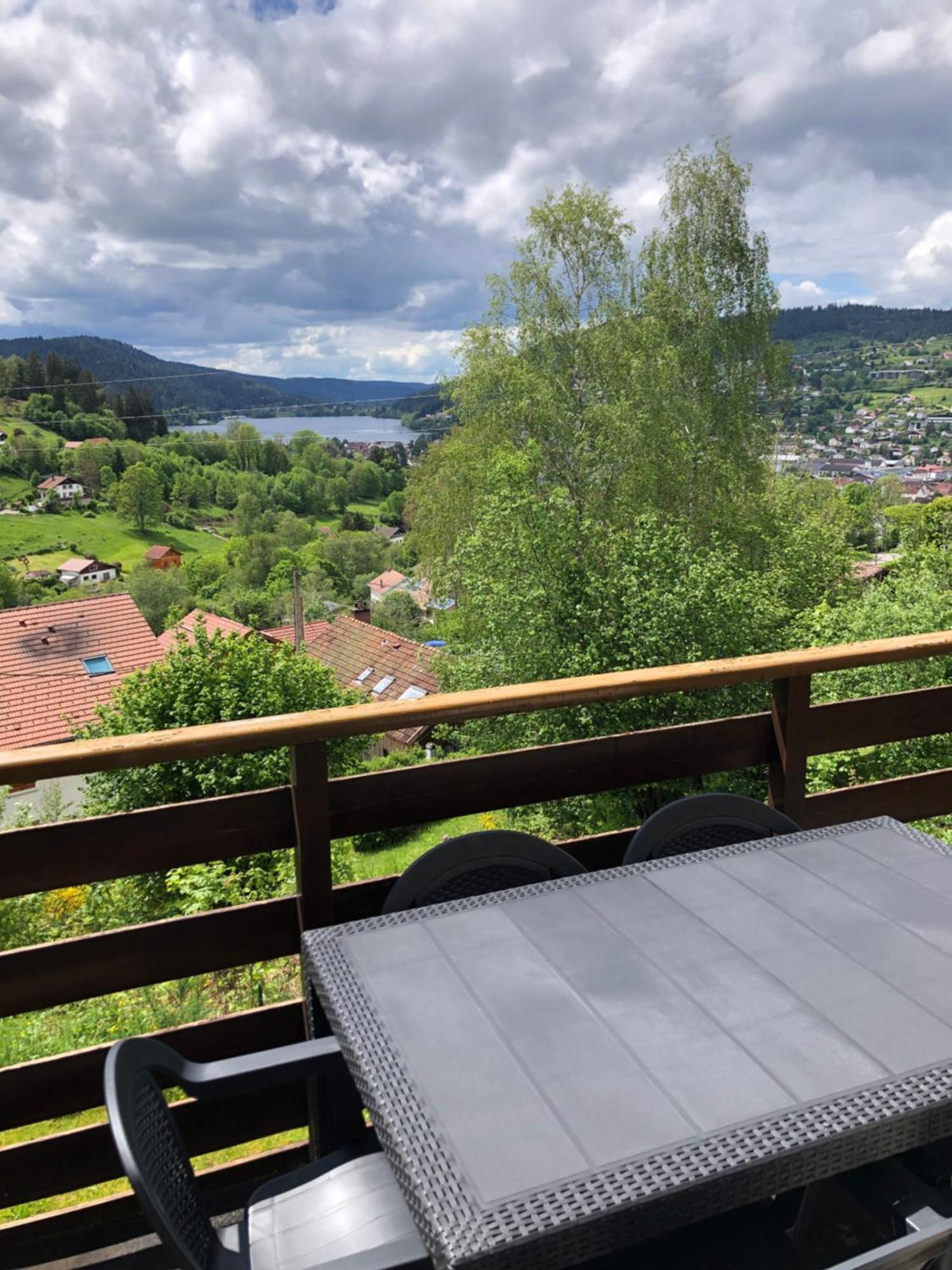 F3 Superbe Vue Lac, Grand Balcon, Ambiance Nature Gérardmer Buitenkant foto