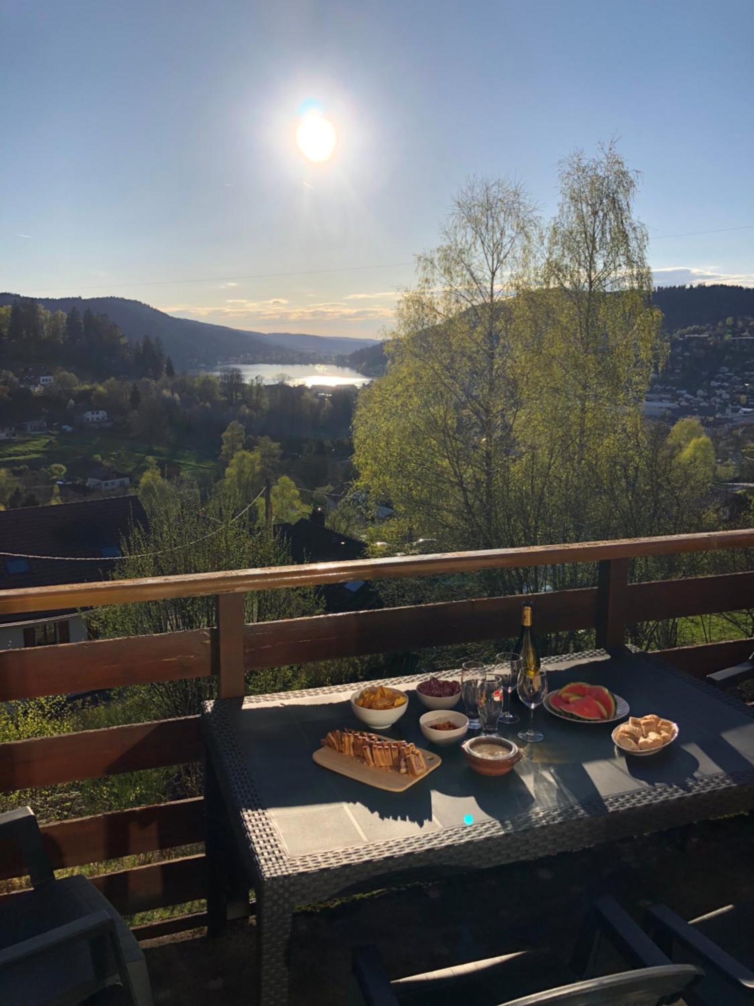 F3 Superbe Vue Lac, Grand Balcon, Ambiance Nature Gérardmer Buitenkant foto